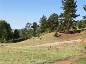 2071 Al Gulch Road Jefferson, CO 80456 - Photo 13 of 25 a view of a yard with mountain view