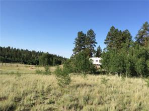 2071 Al Gulch Road Jefferson, CO 80456 - Photo 14 of 25 a backyard of a house with lots of green space