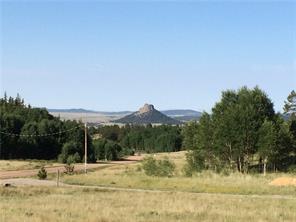 2071 Al Gulch Road Jefferson, CO 80456 - Photo 15 of 25 a view of a yard with a tree
