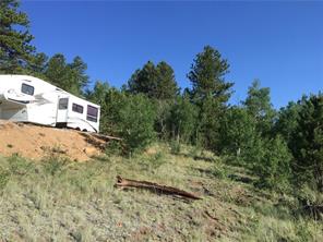 2071 Al Gulch Road Jefferson, CO 80456 - Photo 16 of 25 a view of a house with a yard