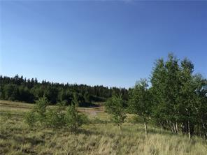 2071 Al Gulch Road Jefferson, CO 80456 - Photo 17 of 25 a view of a field of grass and trees