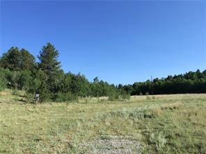 2071 Al Gulch Road Jefferson, CO 80456 - Photo 20 of 25 a view of a field with trees in the background
