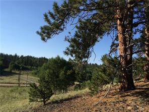 2071 Al Gulch Road Jefferson, CO 80456 - Photo 5 of 25 a view of lake with green space