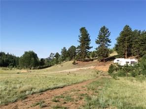 2071 Al Gulch Road Jefferson, CO 80456 - Photo 6 of 25 a view of a yard with a tree