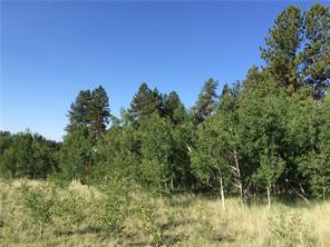 2071 Al Gulch Road Jefferson, CO 80456 - Photo 7 of 25 a view of a lake with a forest