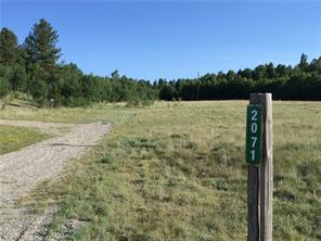 2071 Al Gulch Road Jefferson, CO 80456 - Photo 8 of 25 a view of a field with trees in the background
