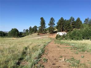 2071 Al Gulch Road Jefferson, CO 80456 - Photo 9 of 25 a view of a yard with a tree