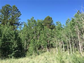 2071 Al Gulch Road Jefferson, CO 80456 - Photo 10 of 25 a view of a lake view