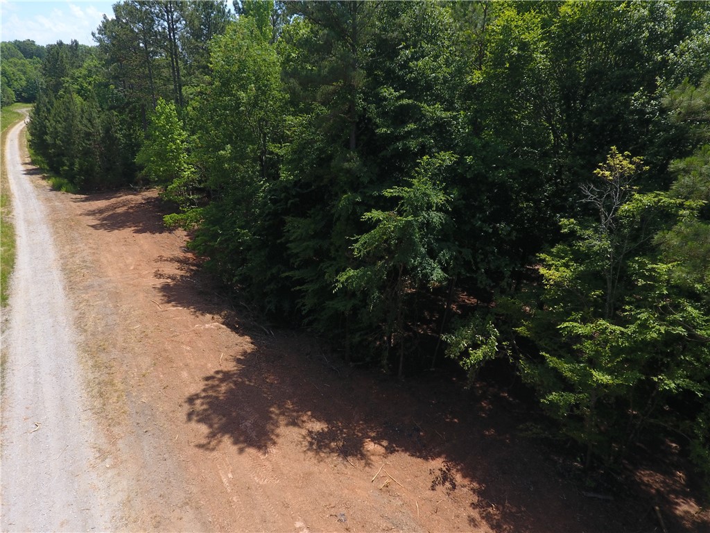 0 Wilson Creek Road Iva, SC 29655 - Photo 16 of 18