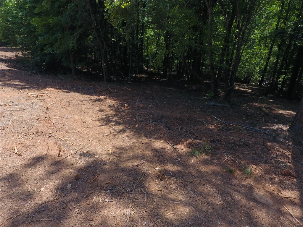 0 Wilson Creek Road Iva, SC 29655 - Photo 17 of 18
