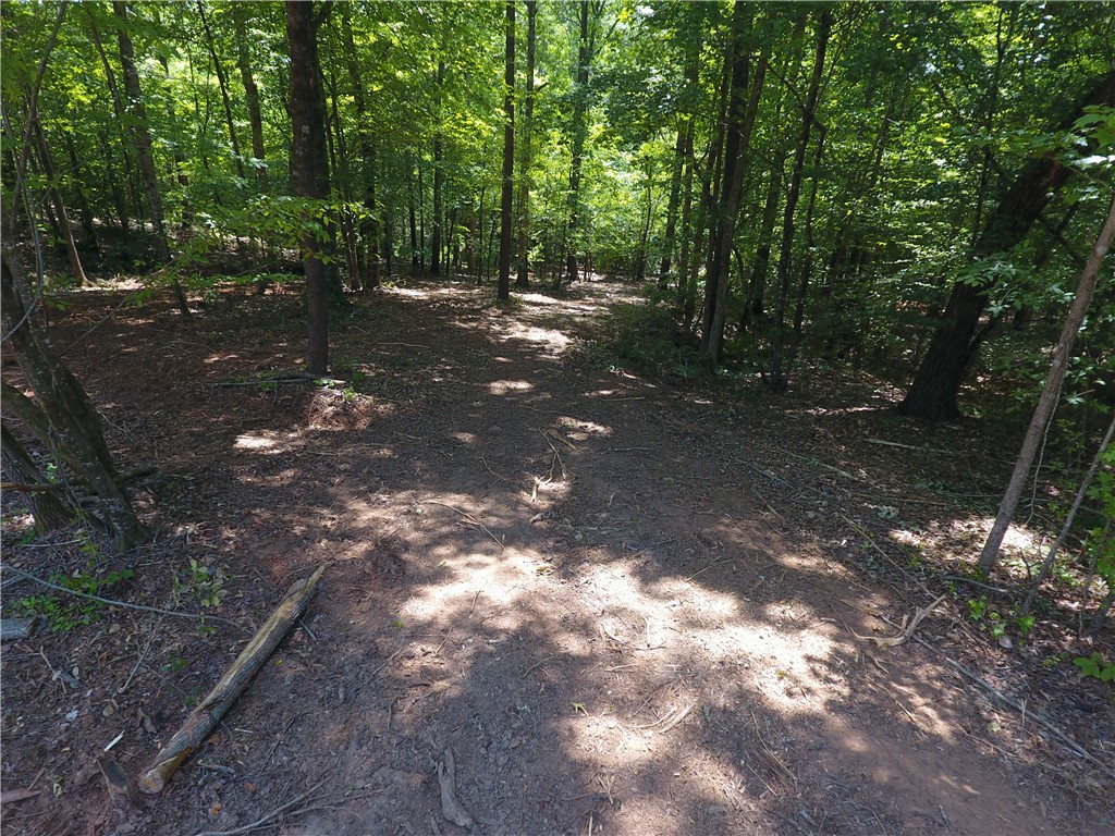 0 Wilson Creek Road Iva, SC 29655 - Photo 18 of 18