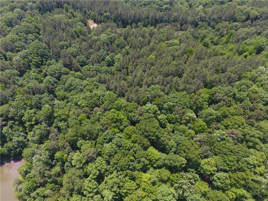 0 Wilson Creek Road Iva, SC 29655 - Photo 2 of 18