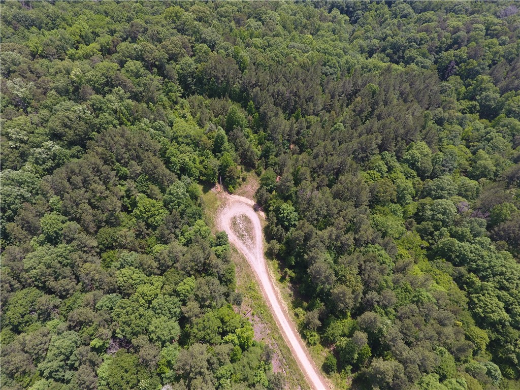 0 Wilson Creek Road Iva, SC 29655 - Photo 6 of 18