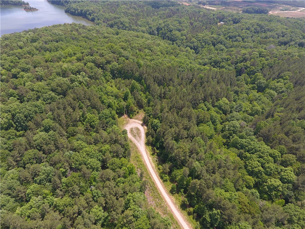 0 Wilson Creek Road Iva, SC 29655 - Photo 7 of 18