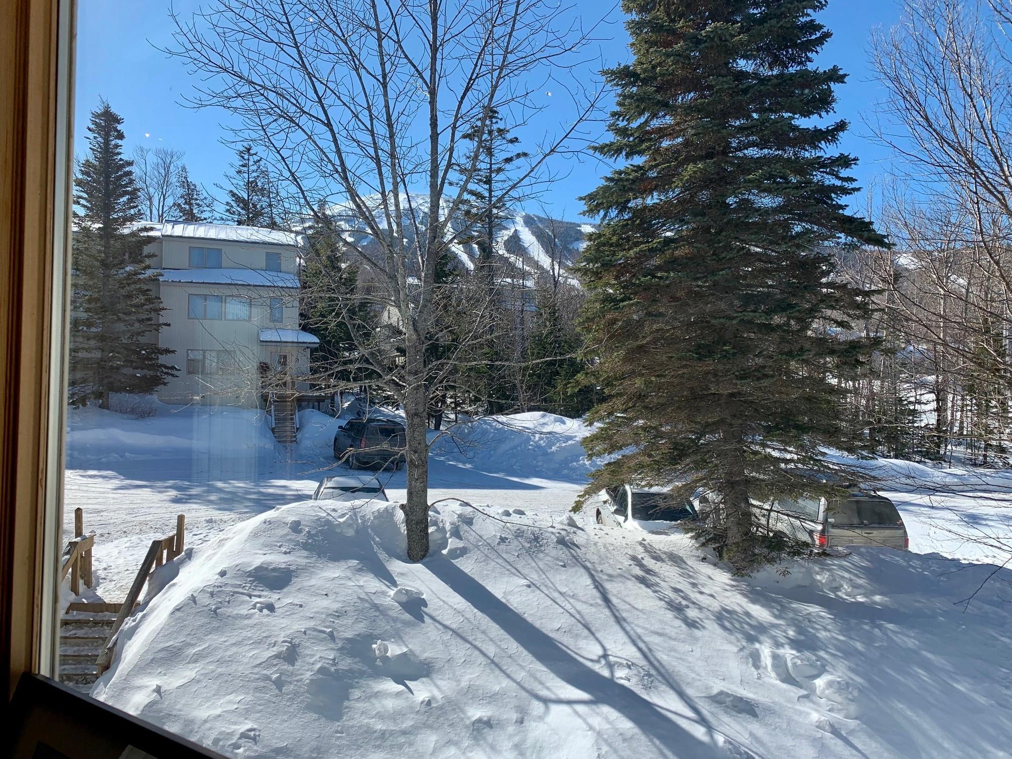 2152 Burnt Mountain Road, Unit 2152 Carrabassett Valley, ME 04947 - Photo 8 of 19 View