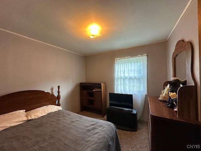 416 Harvey Bridge Road Ohio, NY 13324 - Photo 27 of 33