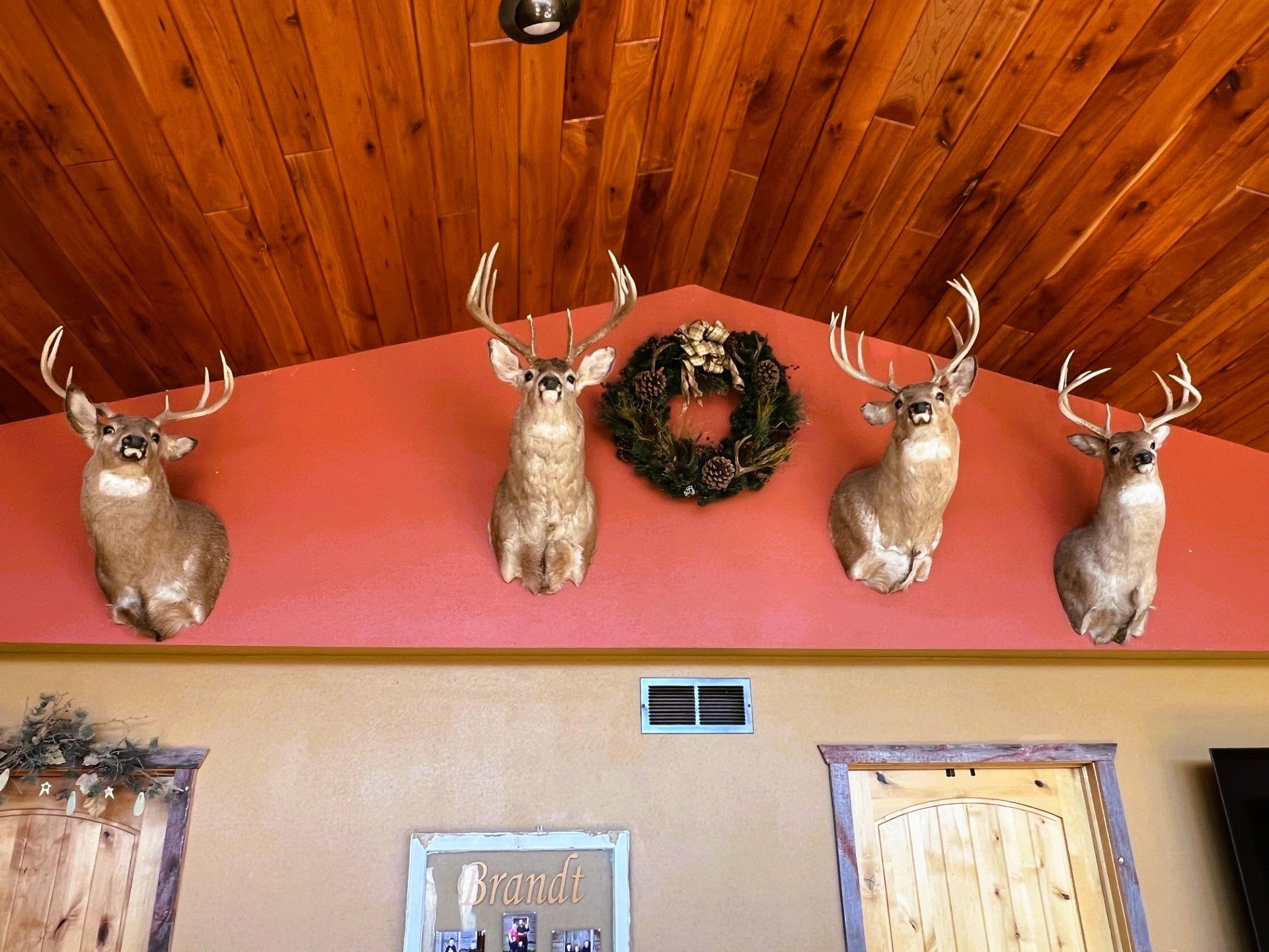 0 Pete Coulee Road Taylor, WI 54659 - Photo 7 of 49