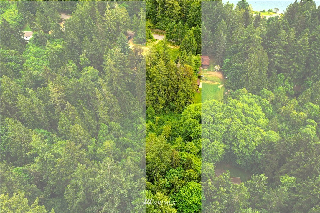 8845 Misery Point Road Northwest Seabeck, WA 98380 - Photo 10 of 16 Gallery Image 10