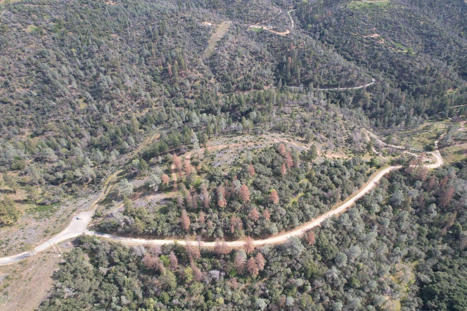 0 Th Road Oroville, CA 95965 - Photo 12 of 31 a view of a yard with wooden fence