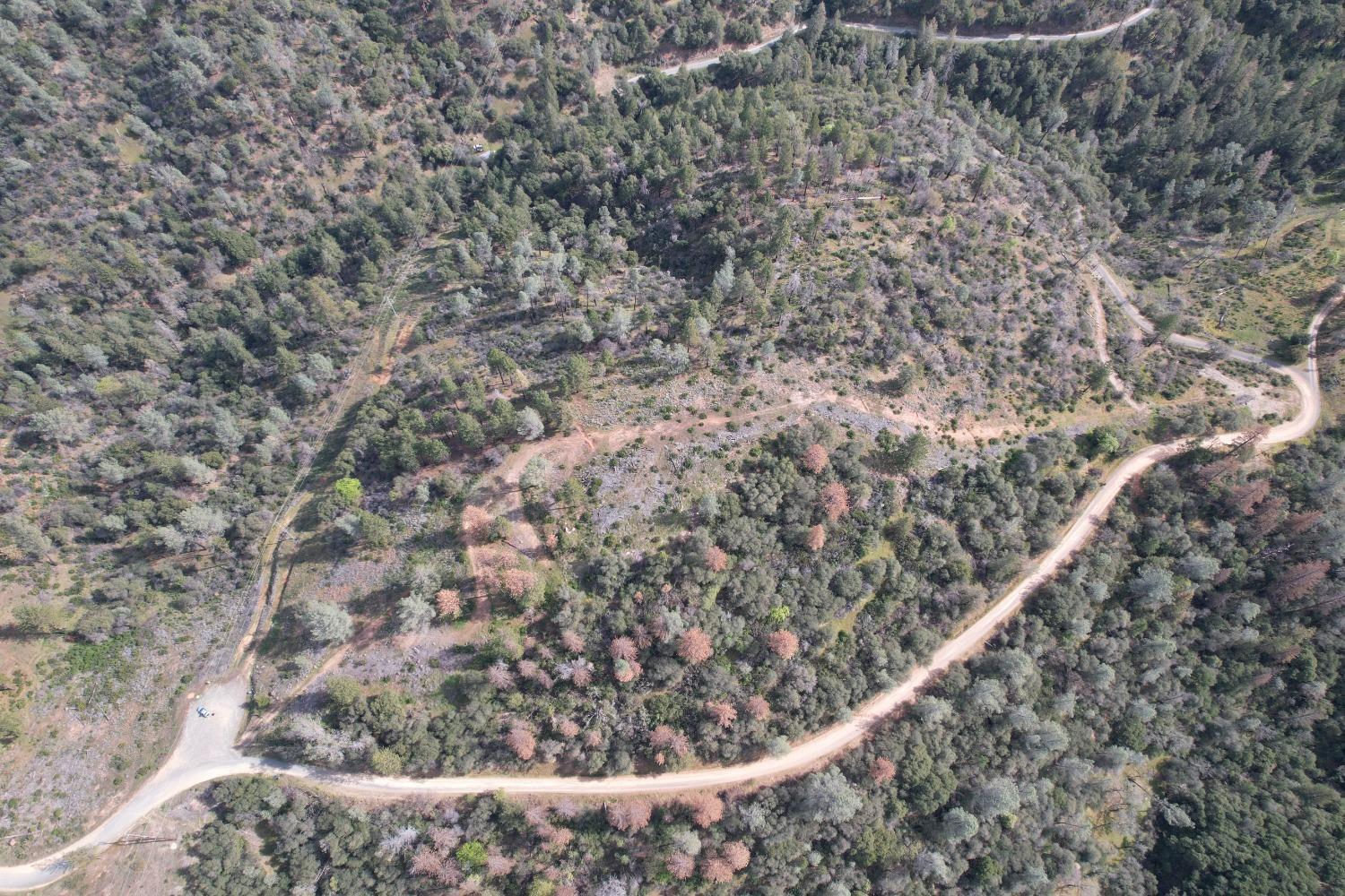 0 Th Road Oroville, CA 95965 - Photo 13 of 31 a view of a dry yard with lots of bushes