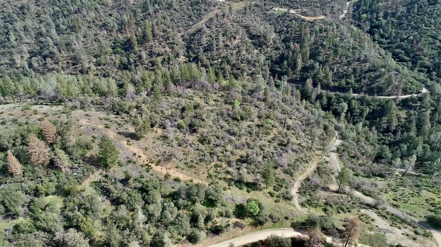 0 Th Road Oroville, CA 95965 - Photo 14 of 31 a view of a forest with a tree