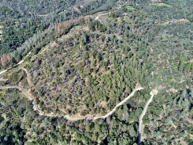 a close up of a field