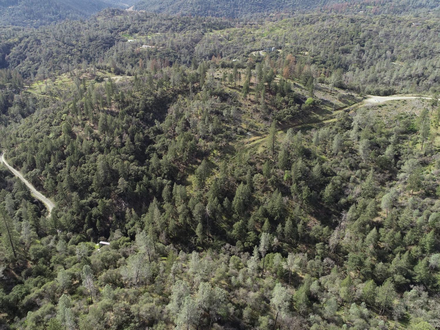 0 Th Road Oroville, CA 95965 - Photo 19 of 31 a view of a field