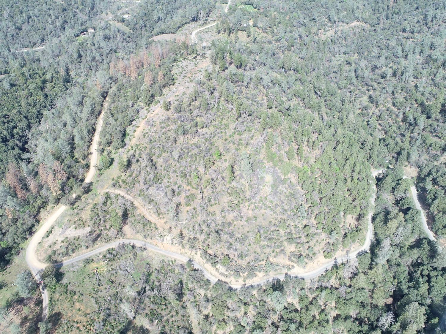 0 Th Road Oroville, CA 95965 - Photo 20 of 31 a close up of a field