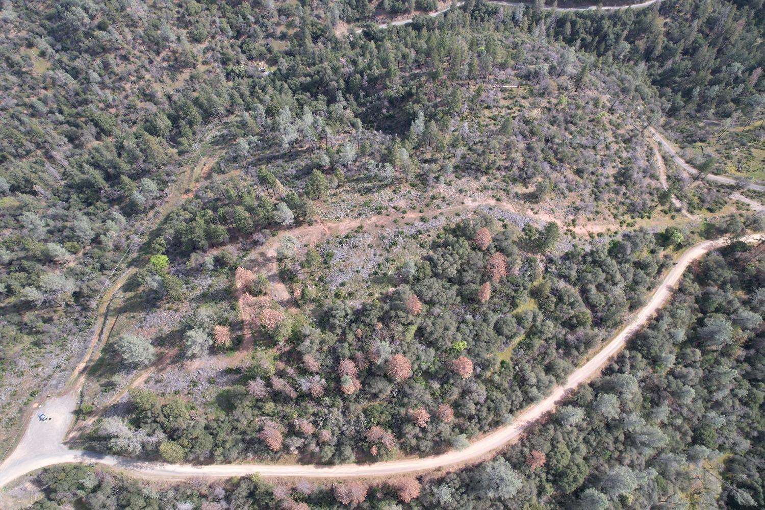 0 Th Road Oroville, CA 95965 - Photo 2 of 31 a view of a forest from a window