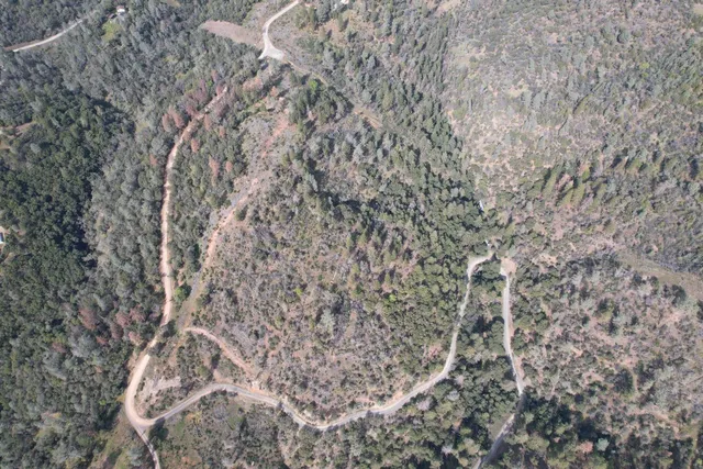 a black white and white photo of a painting