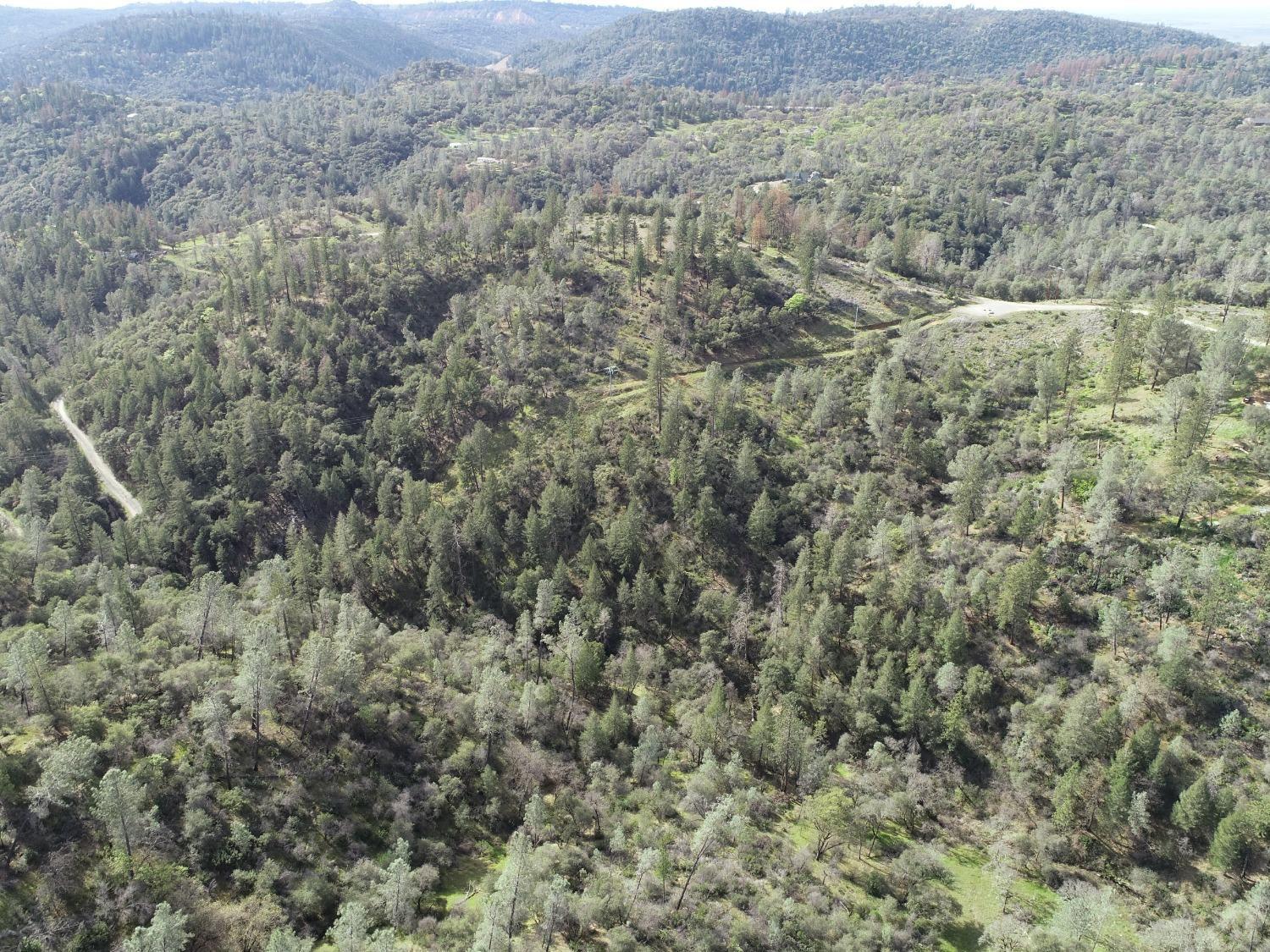 0 Th Road Oroville, CA 95965 - Photo 23 of 31 a view of a forest with trees in the background