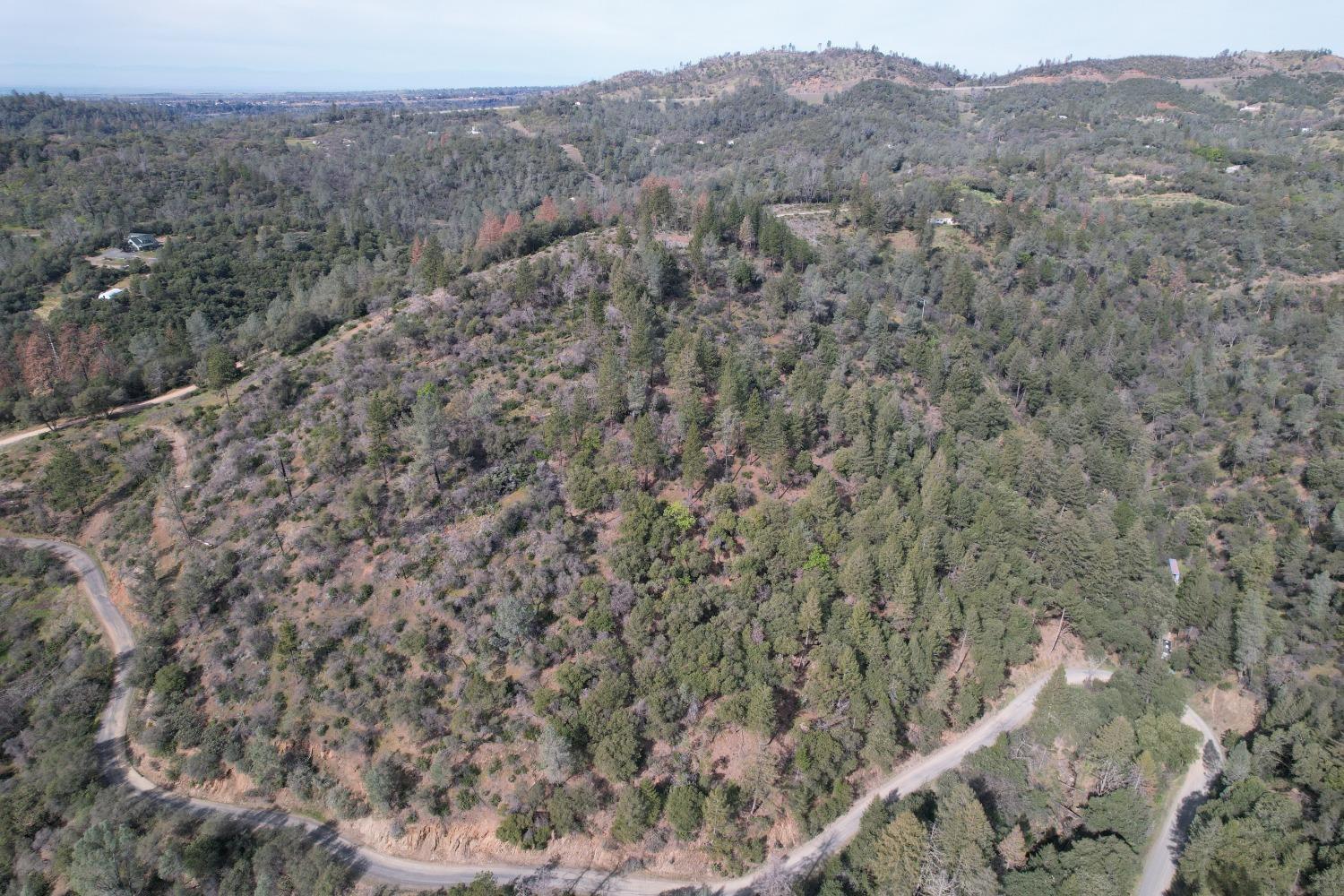0 Th Road Oroville, CA 95965 - Photo 3 of 31 a view of a forest with a mountain in the background
