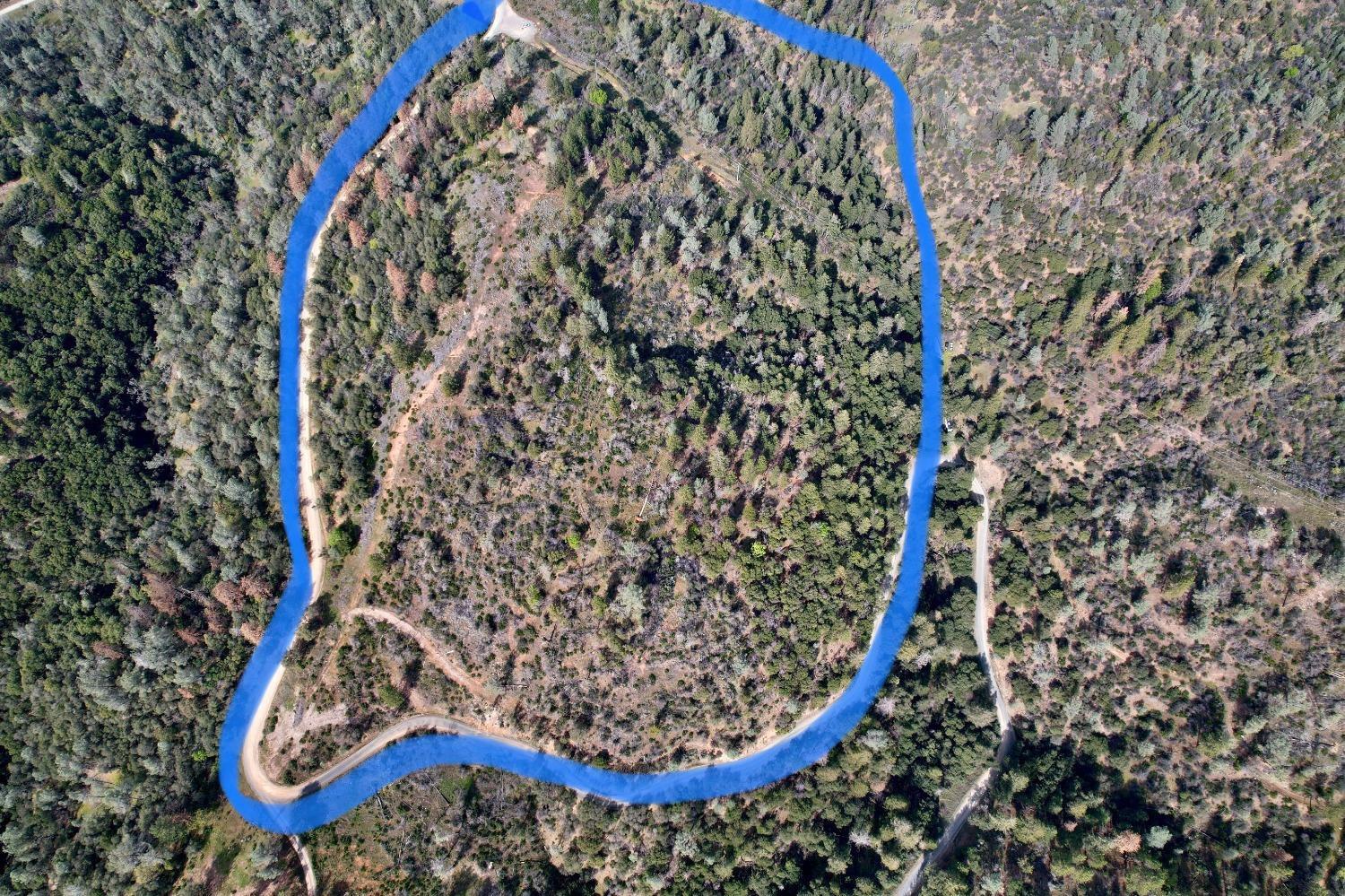 0 Th Road Oroville, CA 95965 - Photo 4 of 31 a view of a bird bath