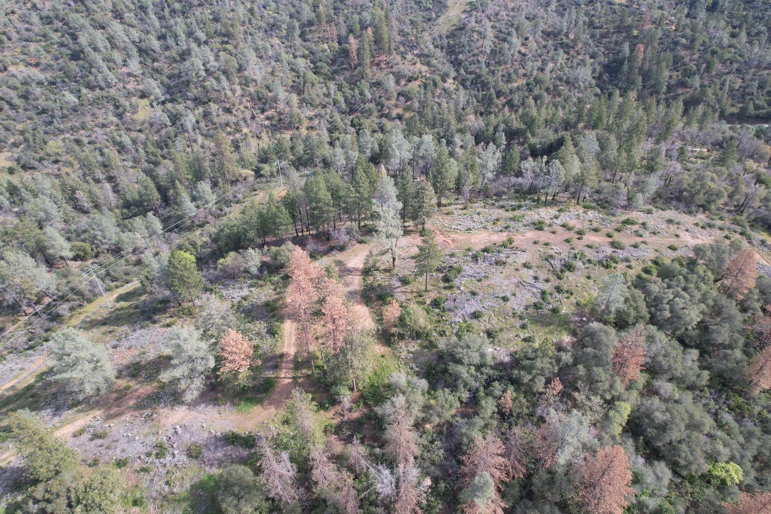 0 Th Road Oroville, CA 95965 - Photo 7 of 31 a view of a forest with trees