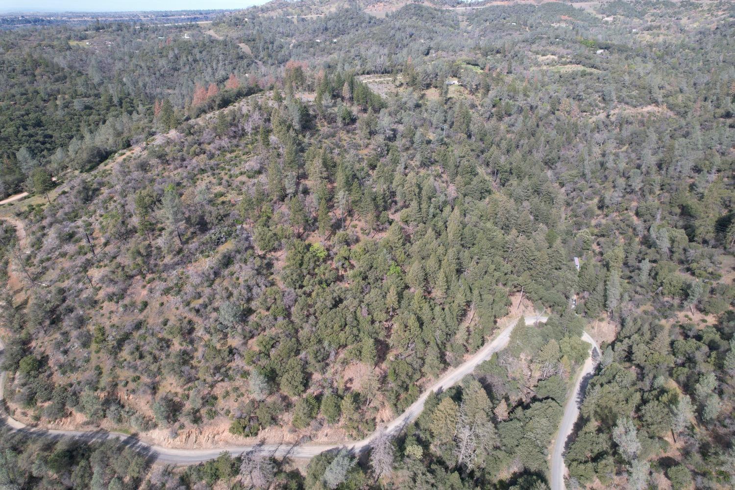 0 Th Road Oroville, CA 95965 - Photo 9 of 31