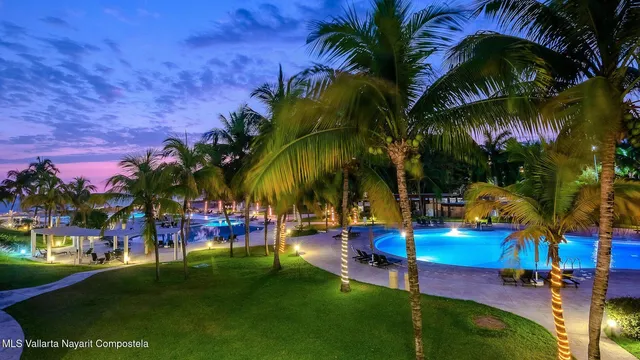 a view of a park with palm trees