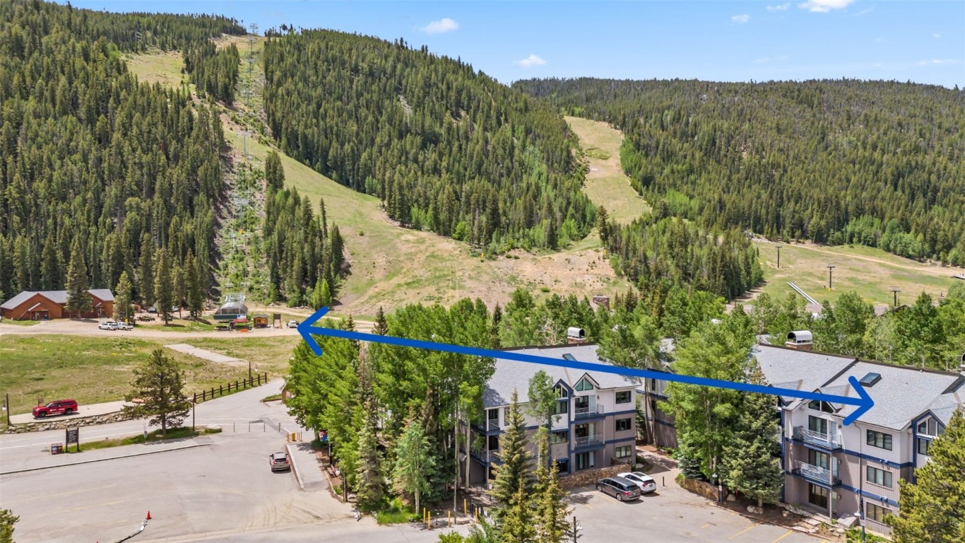 Aerial view of a heavily wooded area and a mountain backdrop