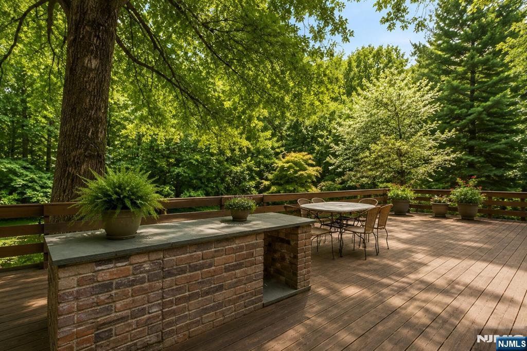 34 Cambridge Way Alpine, NJ 07620 - Photo 37 of 48 a view of a yard with plants
