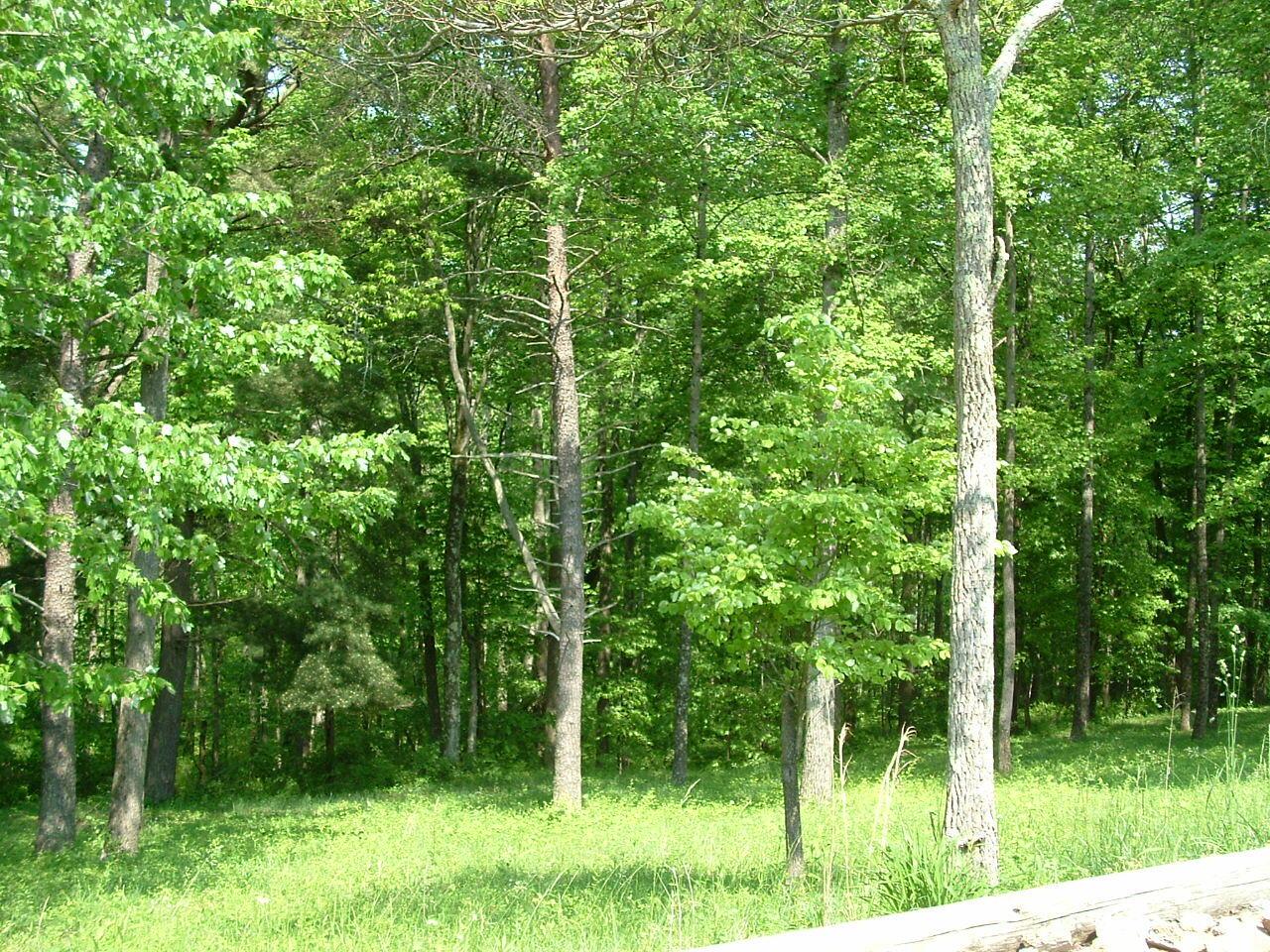 33577 Blackburn Road Logan, OH 43138 - Photo 18 of 24 DSCF0196