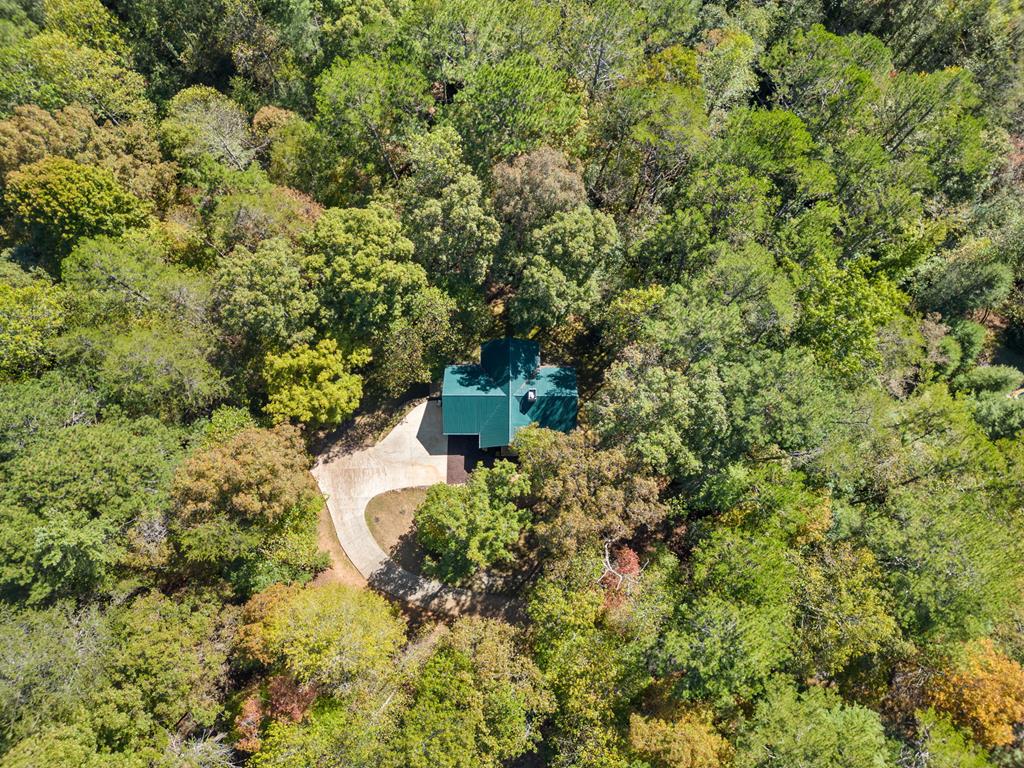 140 Ridge Road Ellijay, GA 30540 - Photo 5 of 39