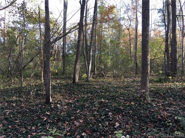 Room for a Homesite