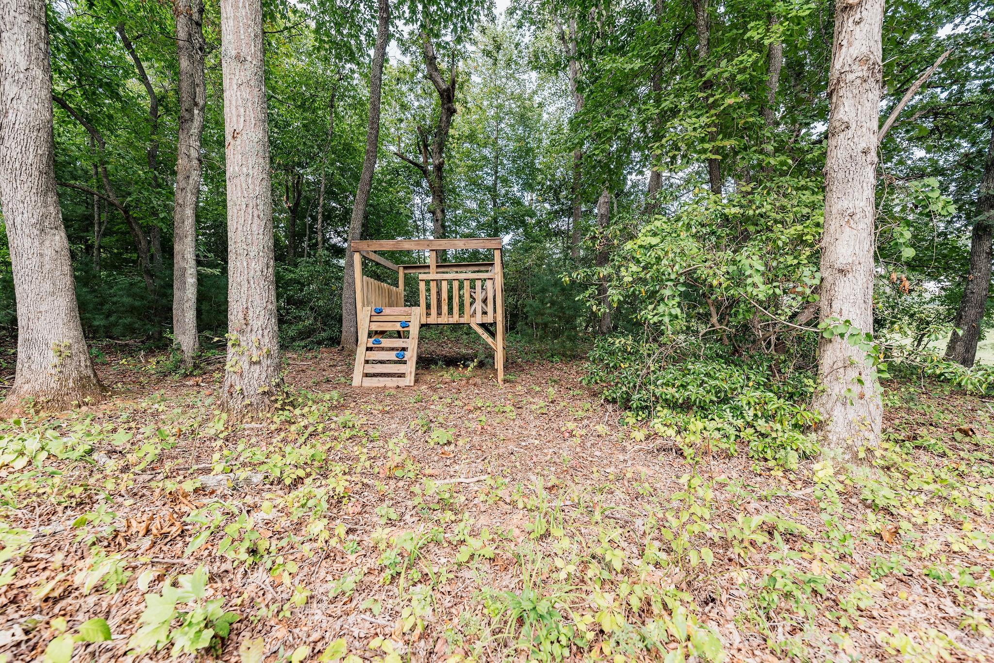 160 Webb Creek Road Fairview, NC 28730 - Photo 24 of 40 Gallery Image 24