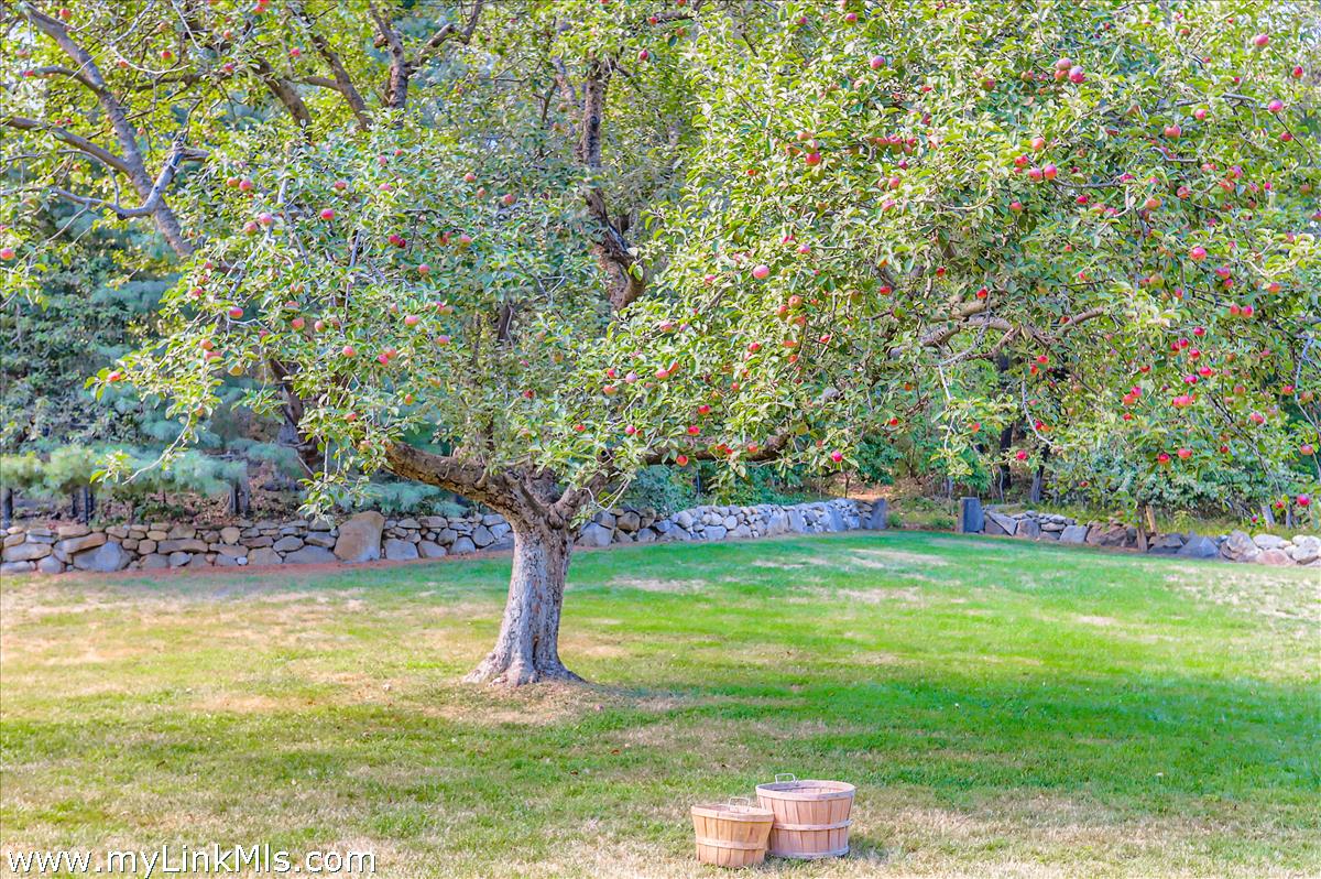 180 Pilot Hill Farm Road Vineyard Haven, MA 02568 - Photo 7 of 68