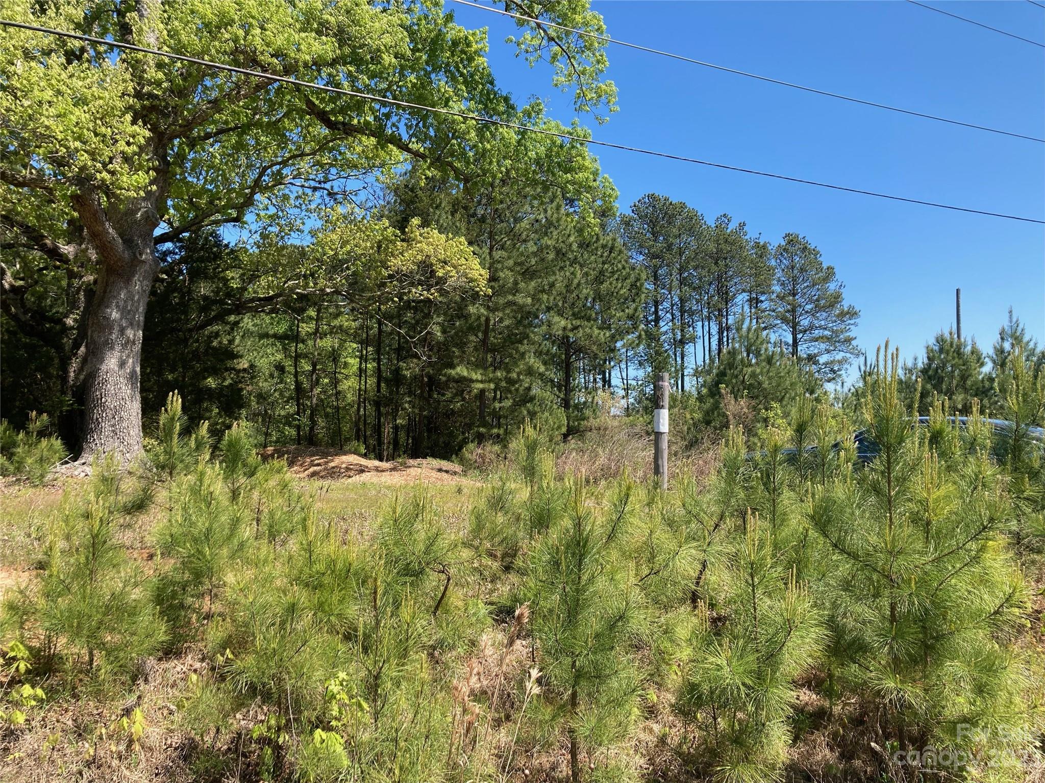 111 Weddington Road Weddington, NC 28104 - Photo 1 of 1 Gallery Image 1
