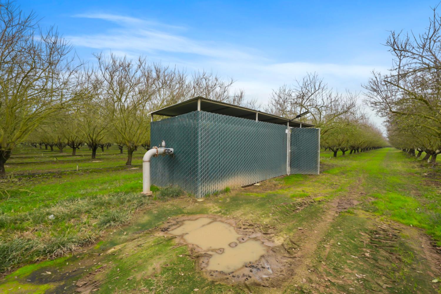 16221 Carrolton Road Escalon, CA 95320 - Photo 43 of 47