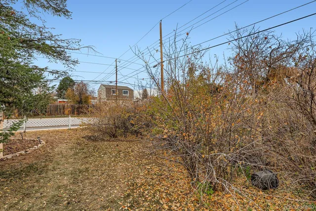 a view of a yard with a tree