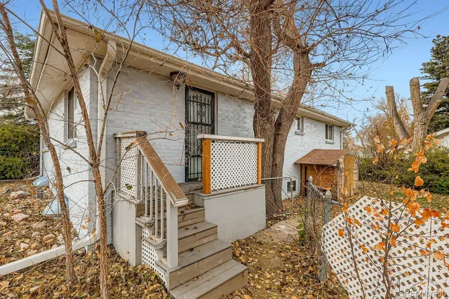 front view of a house with a large tree