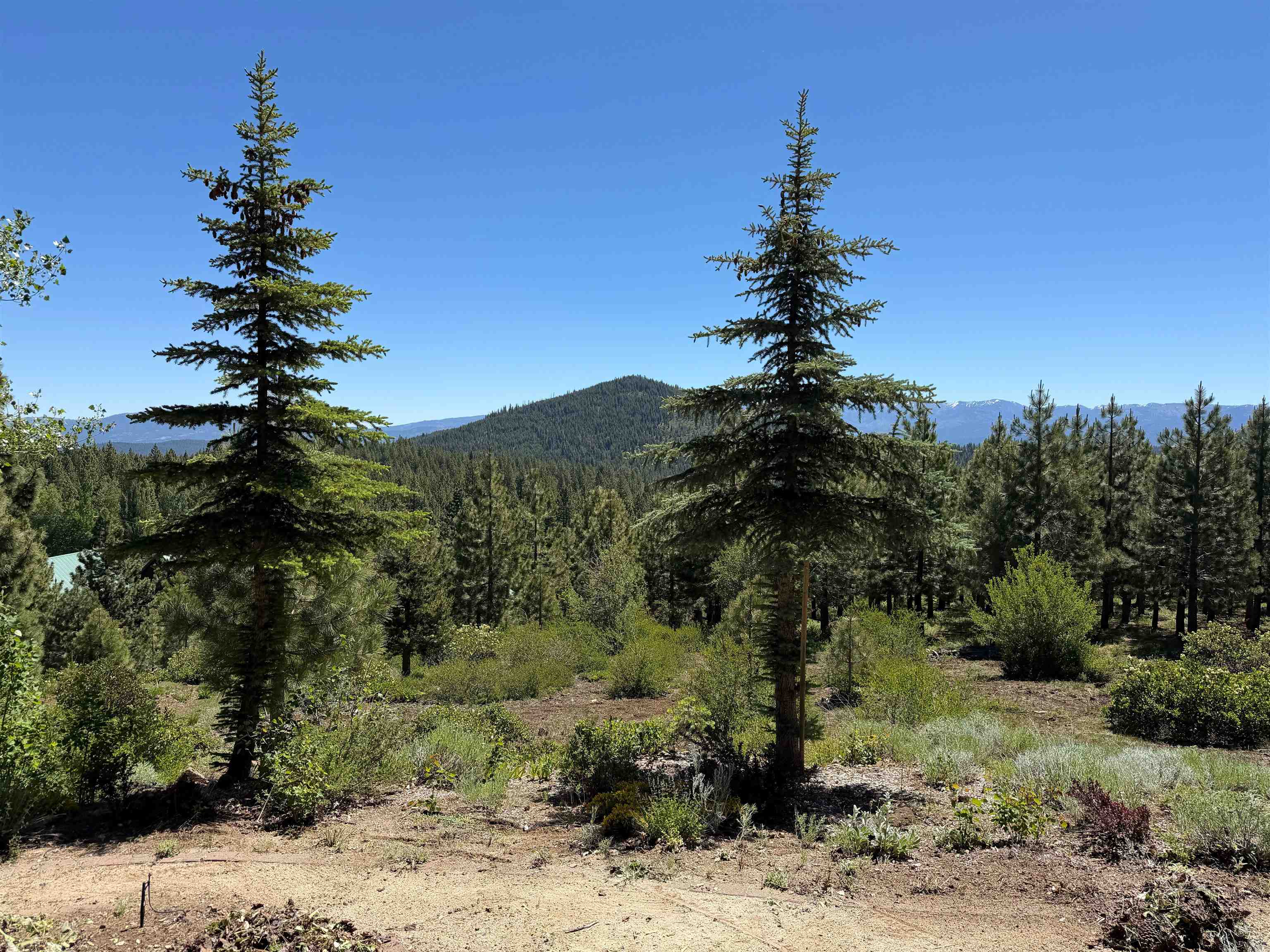 14509 Wolfgang Road Truckee, CA 96161 - Photo 26 of 28
