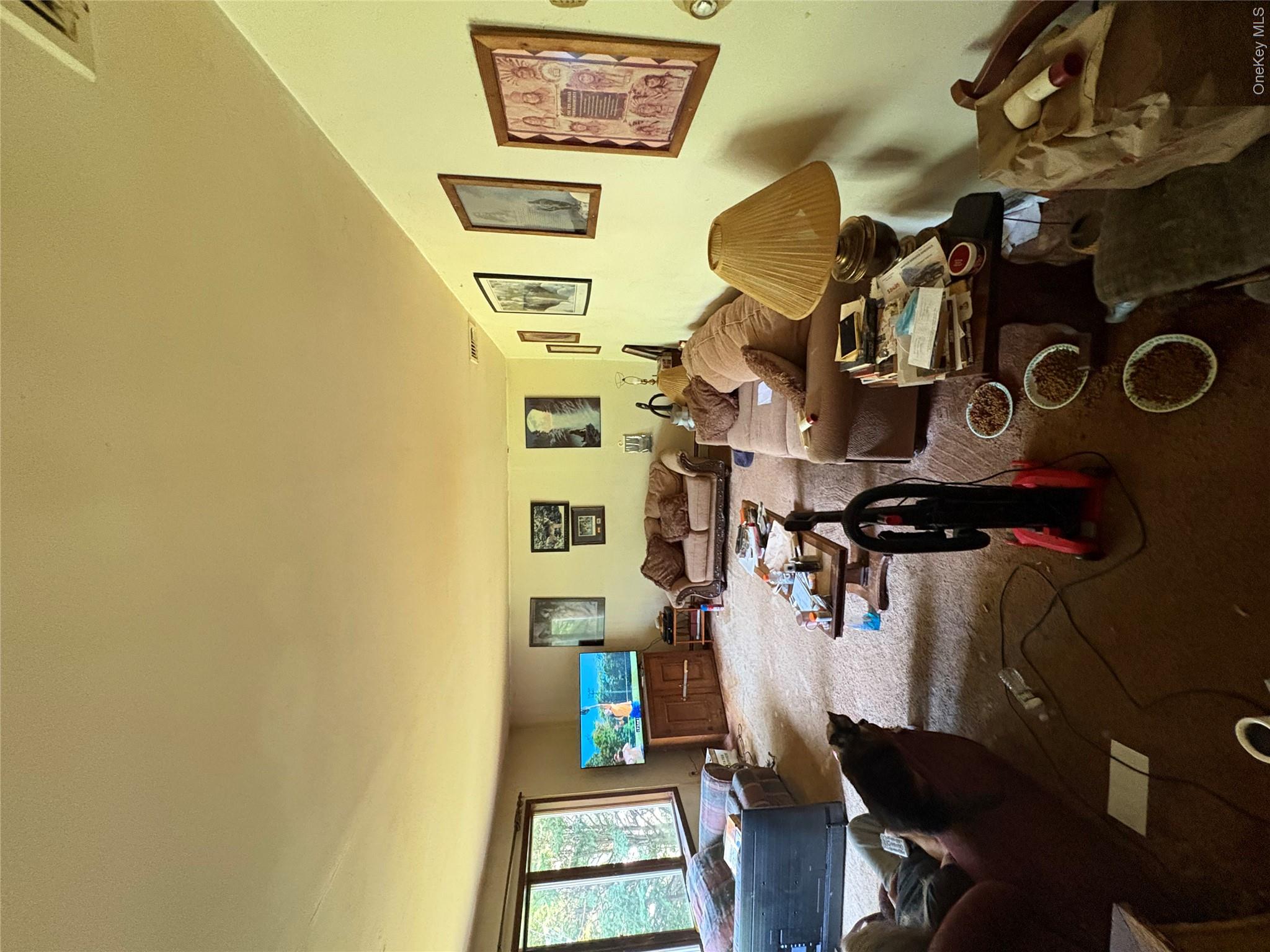 11 Chase Road Wallkill, NY 12589 - Photo 4 of 10 View of carpeted living room