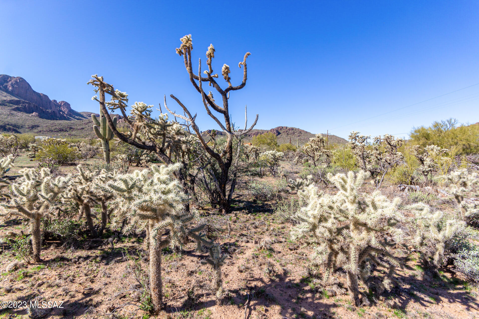 8121 West Pima Farms Road Tucson, AZ 85743 - Photo 25 of 32 Gallery Image 25